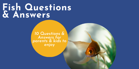 Fish Learning Fridays | Fish Questions & Answers